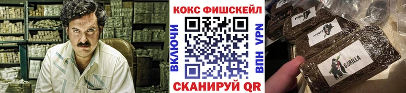 OMG   Славянск-на-Кубани  COCAIN Columbia 