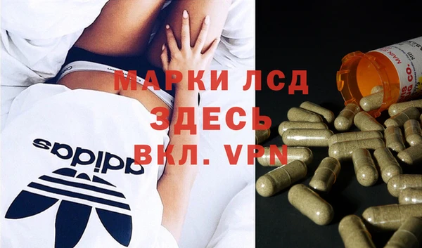 дживик Аркадак