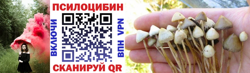 Галлюциногенные грибы Psilocybine cubensis  Славянск-на-Кубани 