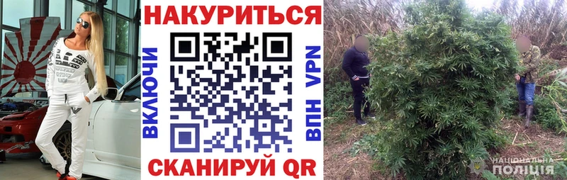 цена Славянск-на-Кубани даркнет наркотические препараты Бошки марихуана семена